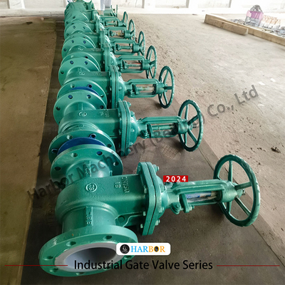 Válvula de puerta de esclusa de acero fundido PTFE revestida con brida manual Z41F46-16C para tratamiento de agua